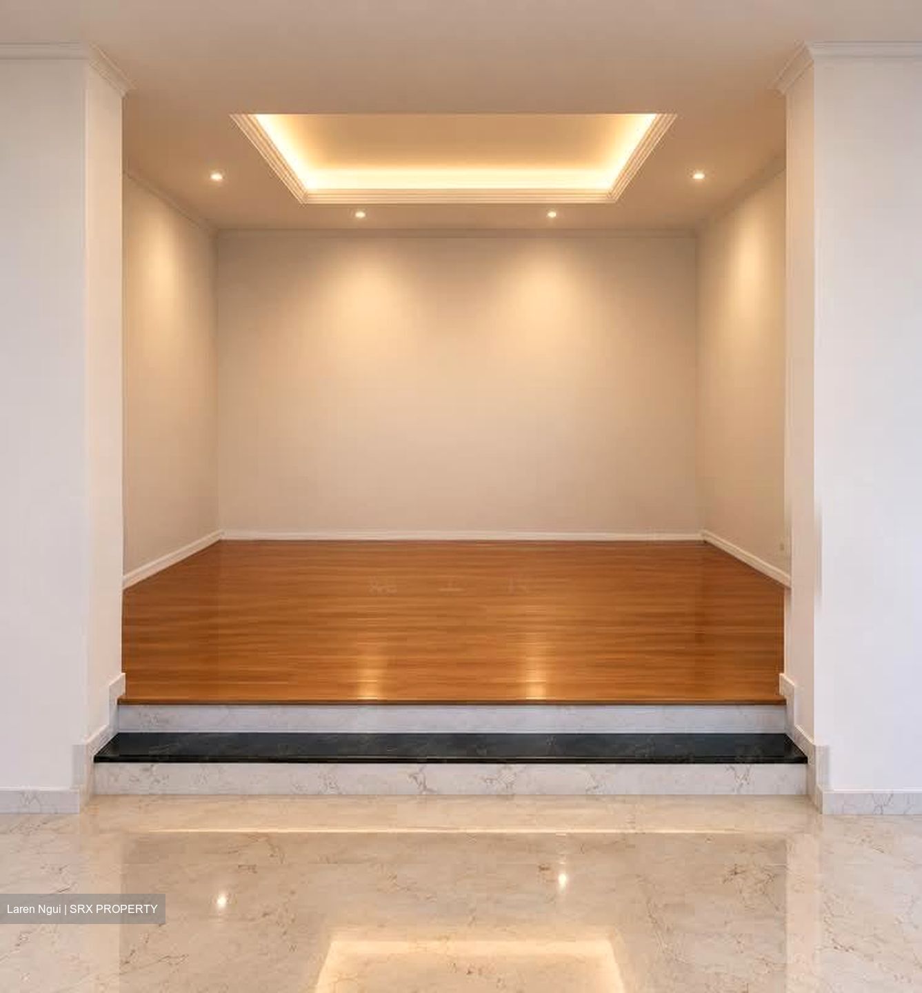 Four Seasons Park (D10), Condominium #599641221